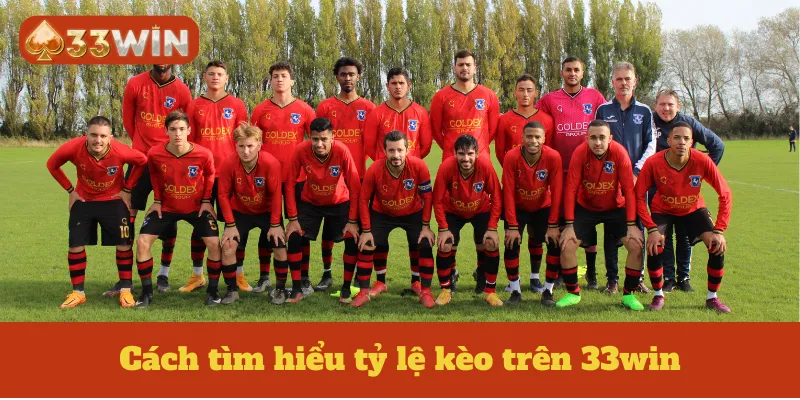 Cách tìm hiểu tỷ lệ kèo trên 33win