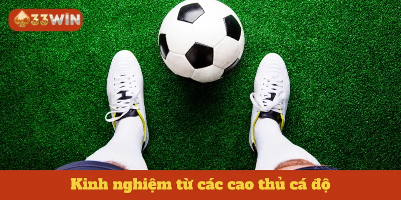 Kinh nghiệm từ các cao thủ cá độ