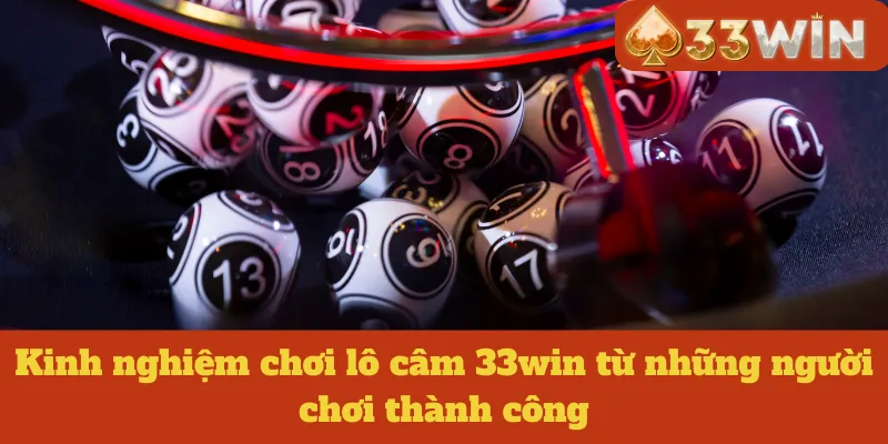 Kinh nghiệm chơi lô câm 33win từ những người chơi thành công